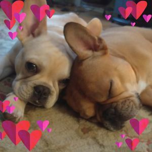 Meet your Posher, Paula